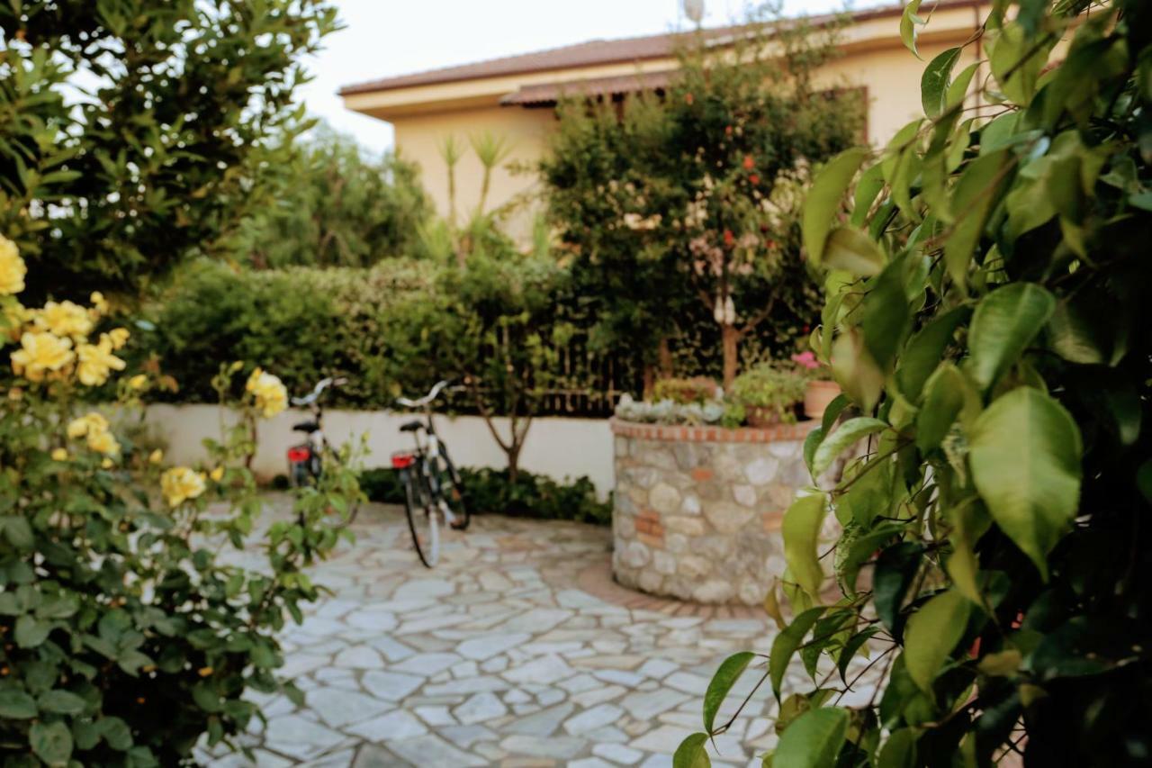 Zama Bed&Breakfast Scalea Εξωτερικό φωτογραφία